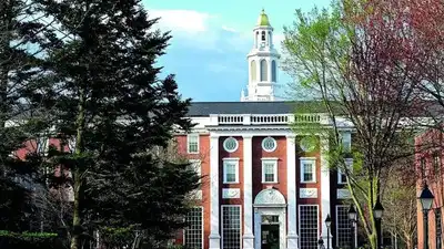 Harvard can't enroll international students, existing foreign students must take transfer