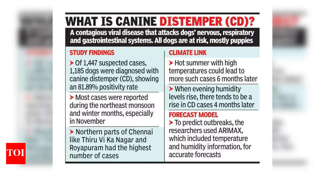 Chennai: Canine Distemper Cases Rising During Monsoon, Winter