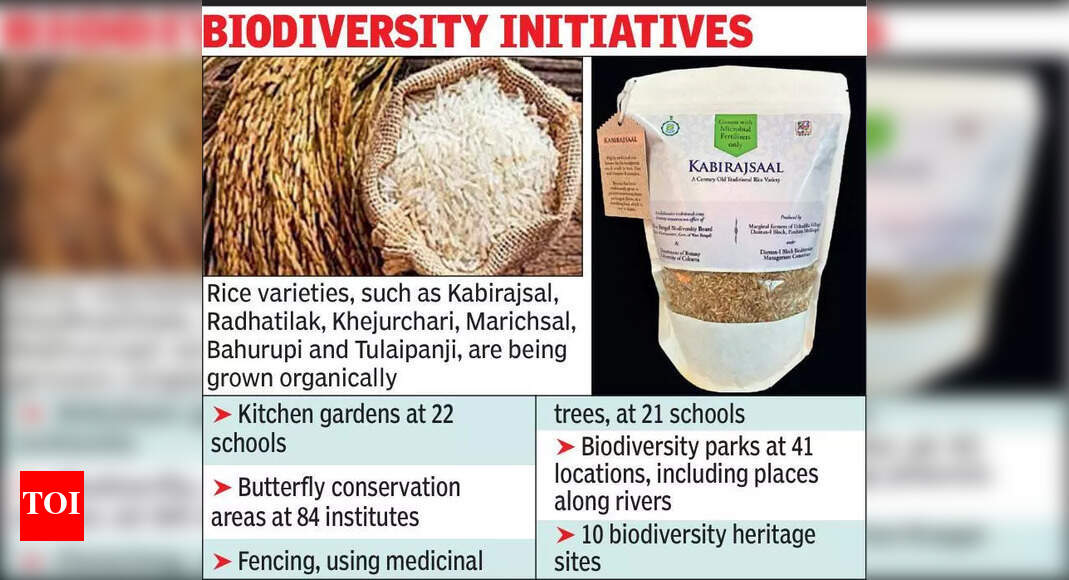 Kolkata Brings Back Lost Rice, Fish Varieties