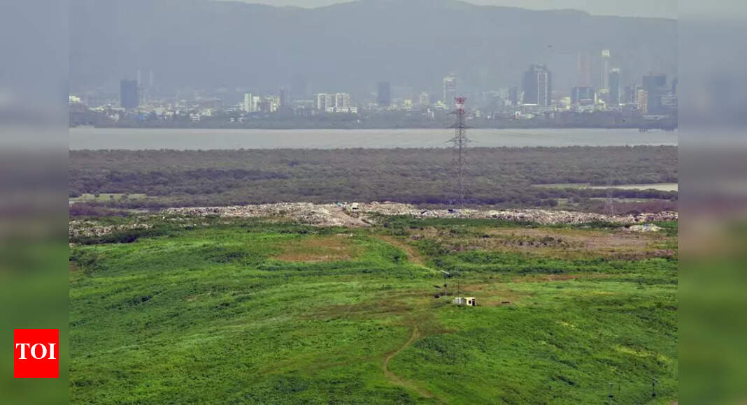 Petition Filed Against Waste-to-Energy Plant in Deonar, Mumbai
