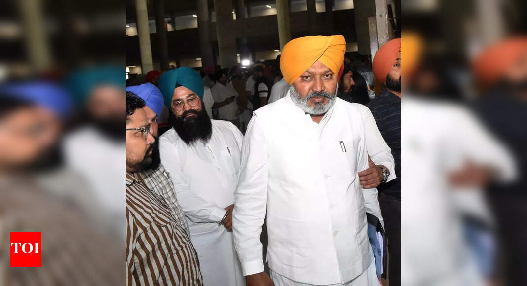 Punjab: Cheema Says Land Pooling Will Be Voluntary in Ludhiana