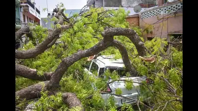 Thunderstorm, rain bring relief to UP districts; similar alert for next 5 days