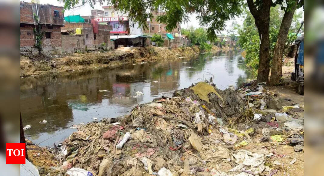 Bicholim River Desilting Underway to Avert Monsoon Flooding