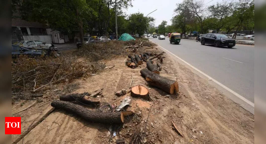 Delhi Introduces New Rules for Tree Felling and Transplantation