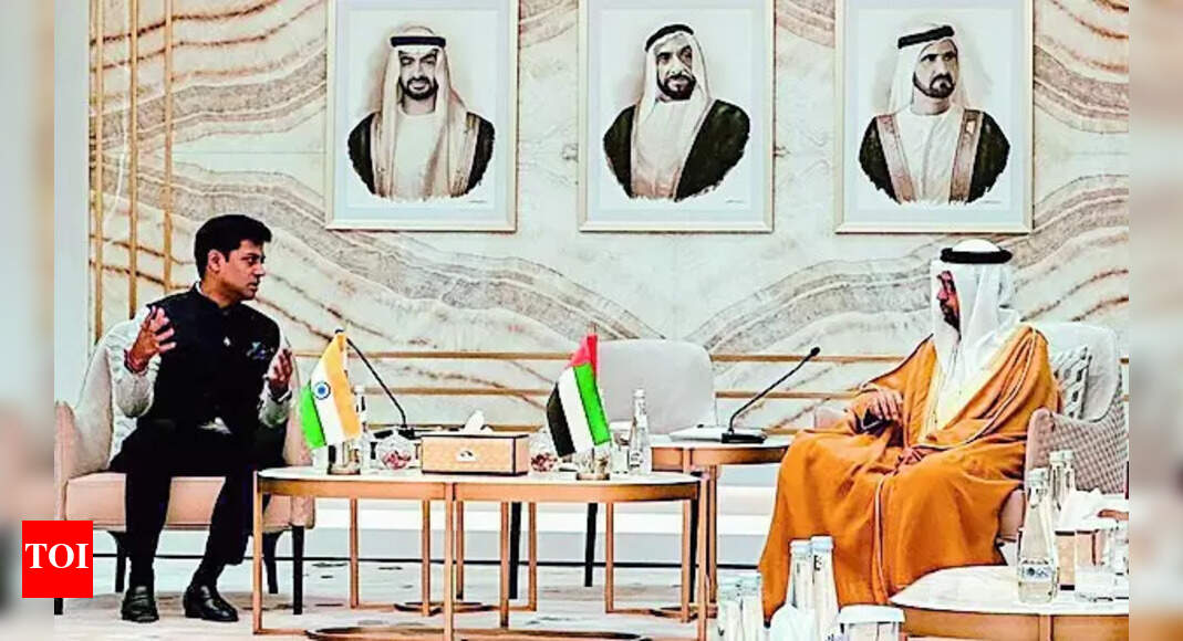 UAE, Japan reaffirm support to India's fight against terror