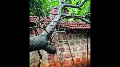 Landslides, traffic disruptions, property damage across state
