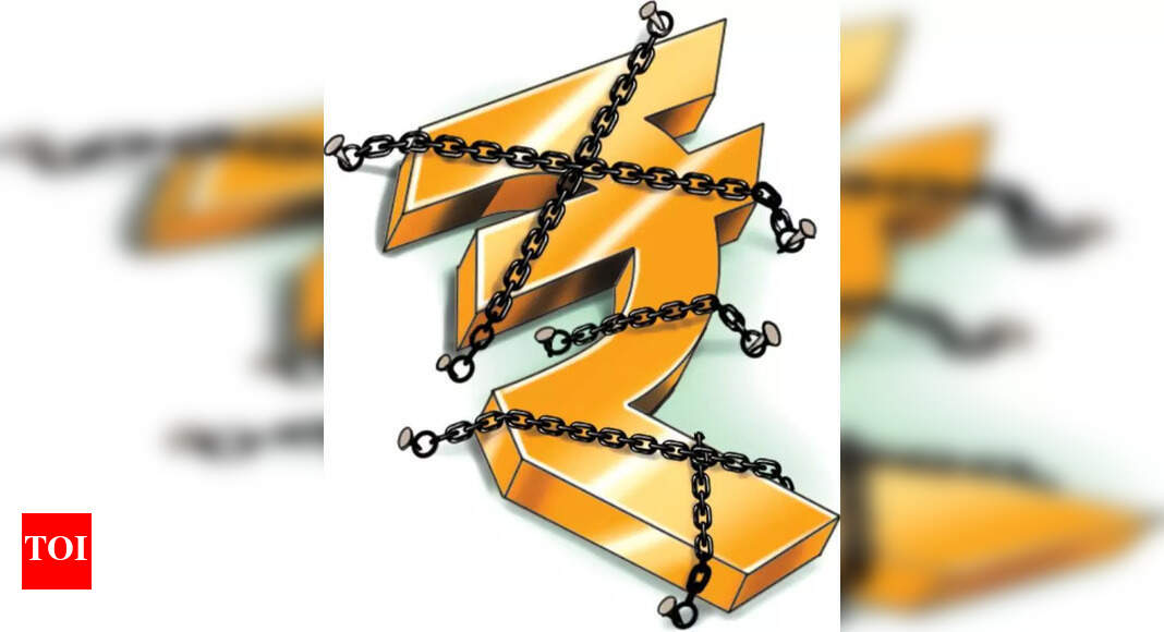 Chandigarh MC Struggles Financially, Development Works Halted