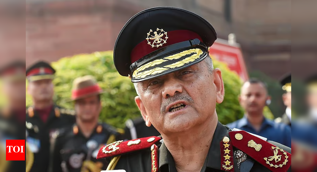 India does not need a written NSS, structures are in place: CDS
