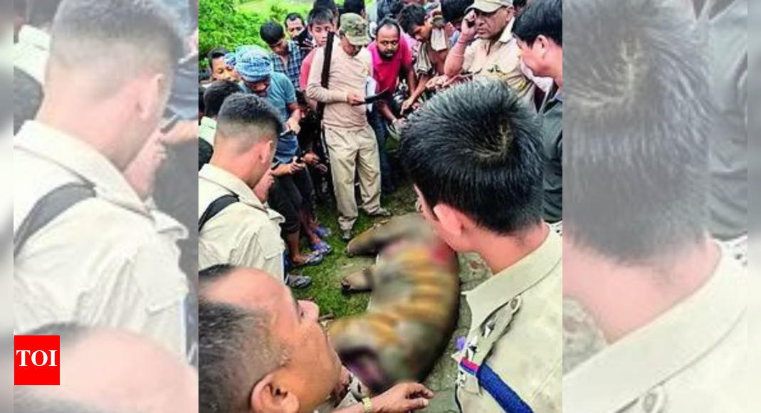 Mob Kills Tiger in Assam, Sparking Outrage and Investigation