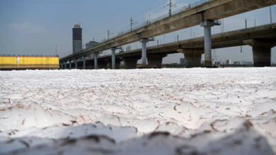 Yamuna dirtier in May, pollution load in major drains increases too