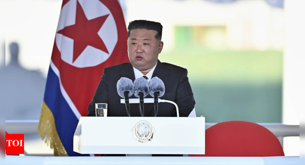 North Korea vows to arrest those responsible for failed ship launch
