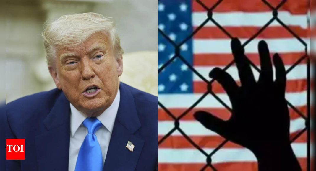 Will Trump's ban on enrolling foreign students in Harvard lead to mass deportation?
