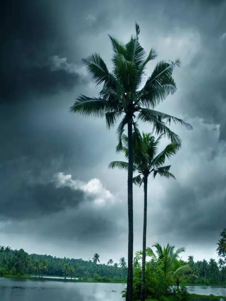 10 monsoon-perfect national parks in India