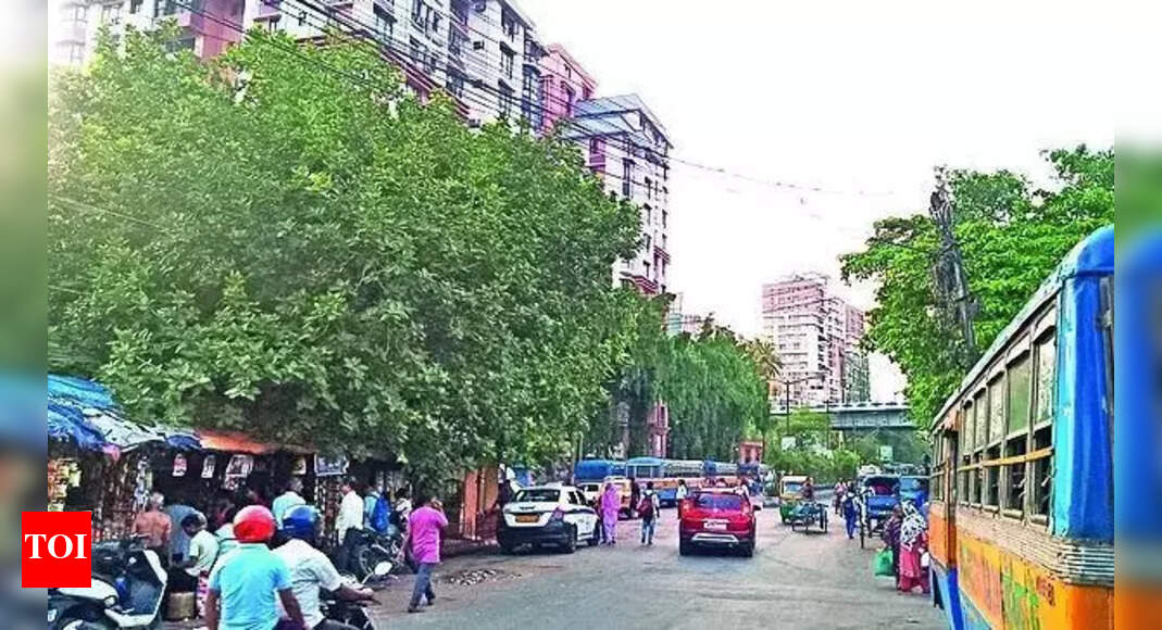 Kolkata Police Arrest Man, Seize Drone; Fake Passport Found