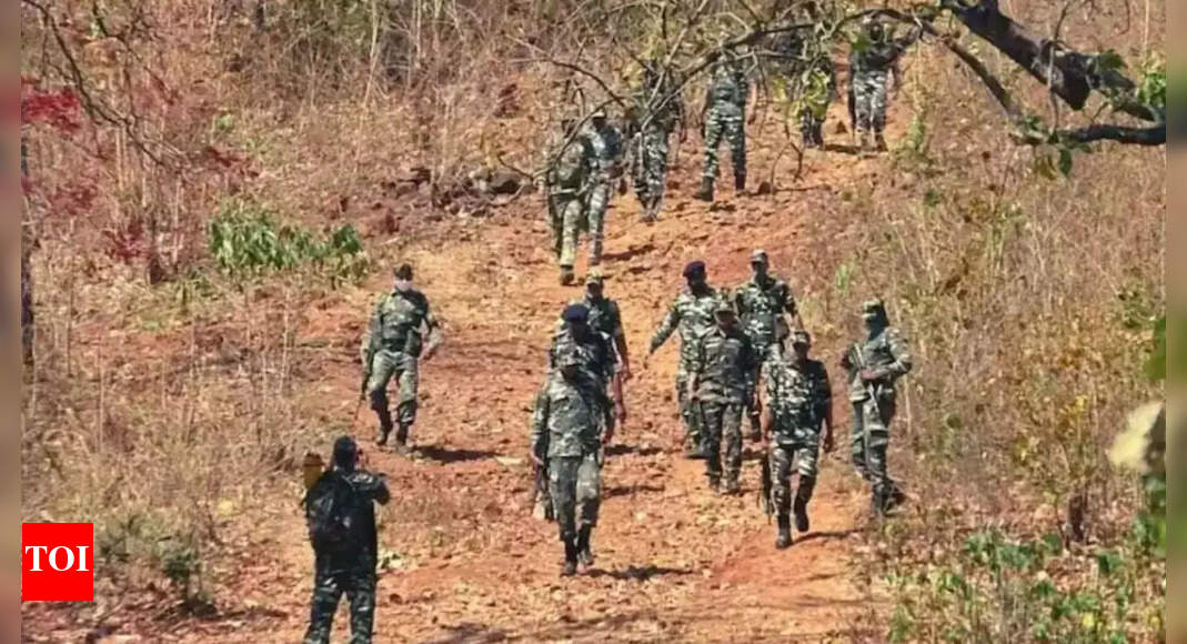 Four Maoists killed in encounter along Maharashtra-Chhattisgarh border