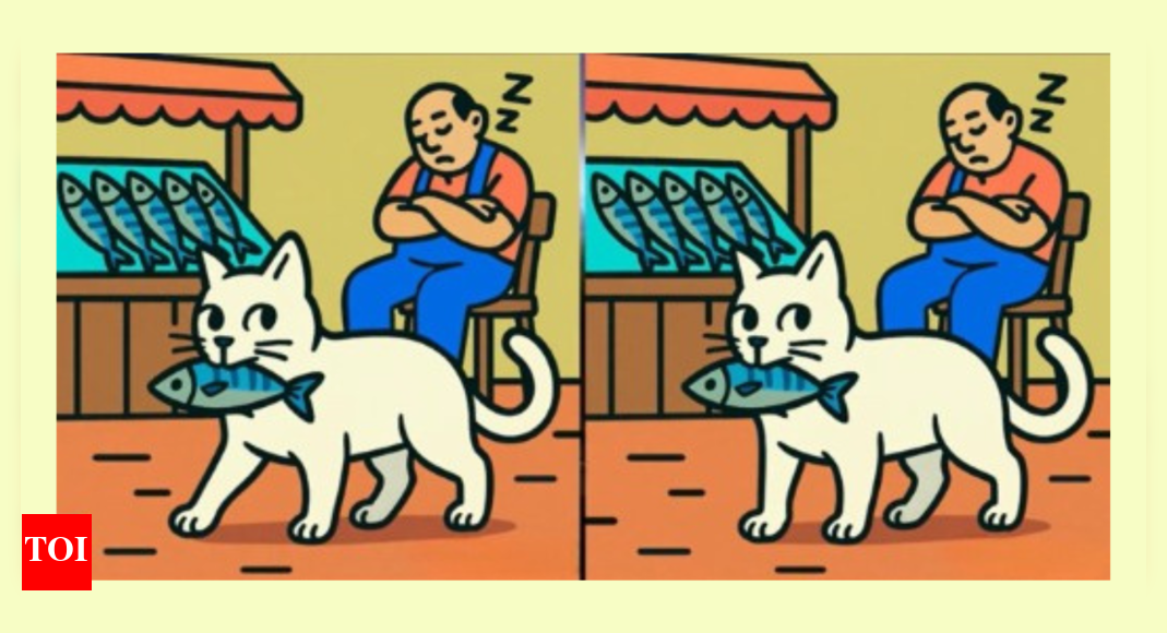 착시 :이 고양이에서 물고기 이미지를 훔치는 세 가지 차이점을 찾을 수 있습니까? – 인도의 시간
