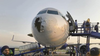 Lahore ATC refuses entry to Indigo jet facing turbulence citing Pakistan airspace ban: IAF sources