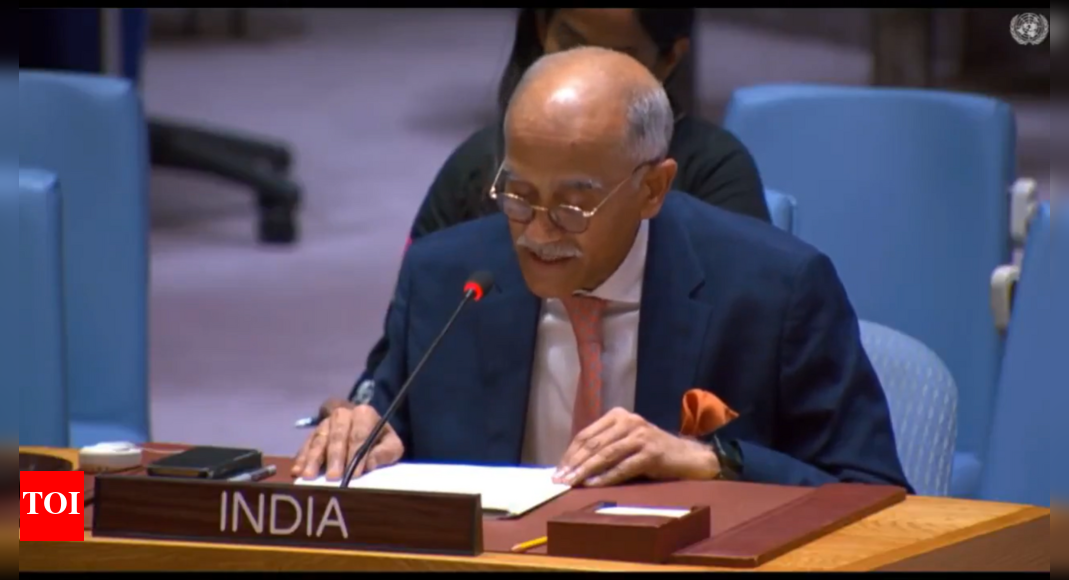 'Objective to attack our prosperity, progress and morale': India slams Pak at UN