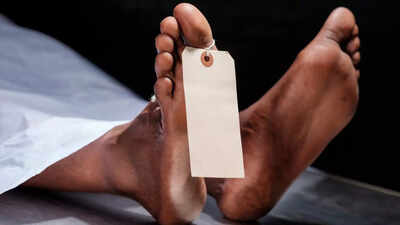 Is death just an illusion? Here's what quantum physics reveals about life, death, and consciousness