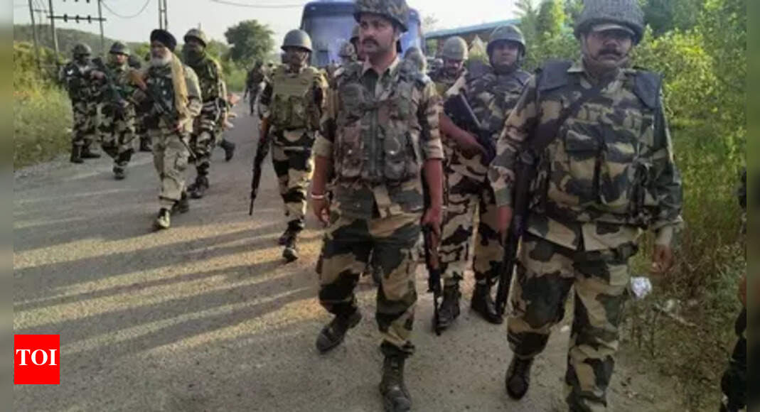 Indian Artillery Key in Operation Sindoor and Border Clashes