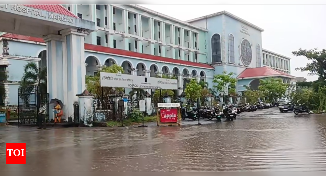 Goa Monsoon Expected Soon; Farmers Assess Crop Damage