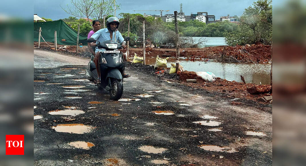 Pre-Monsoon Rains Cause Damage in Goa: Roads, Homes, and Crops Affected