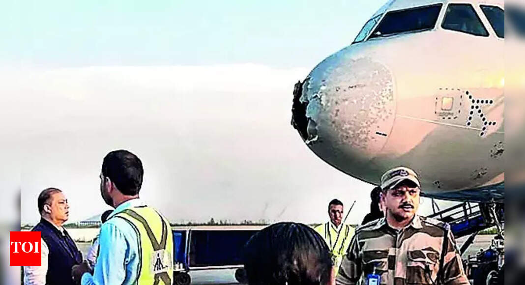 IAF helped IndiGo plane land safely in J&K after Pakistan snub