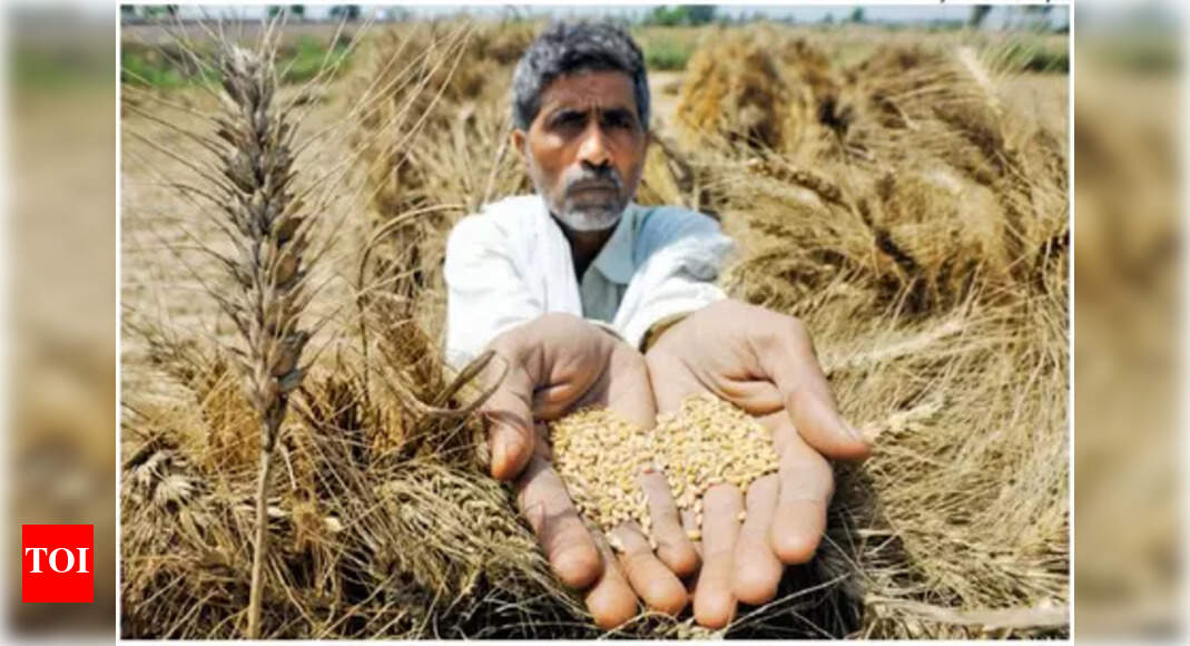 Crop insurance premiums top payout by 45% in Maharashtra over 8 years