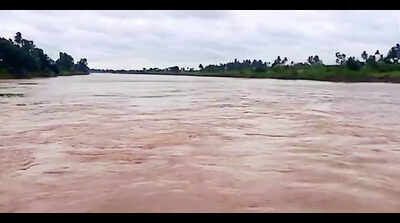 Water level in rivers rises with incessant showers in Belagavi district