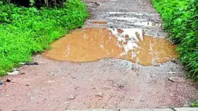 Not asking for luxuries, just basics like water, road: Bengaluru residents