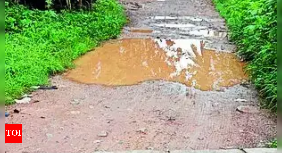 Bengaluru Residents to Protest Slushy Roads After Years of Neglect