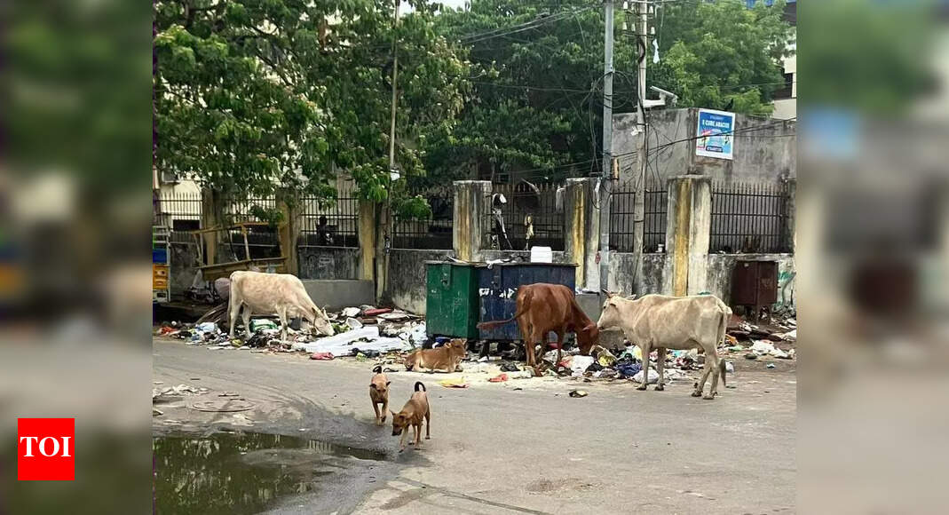 Tambaram Residents Battle Waste Crisis, Cite Civic Neglect