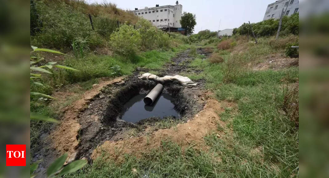 Illegal Sand Mining Alters Yamuna's Course in Sonipat