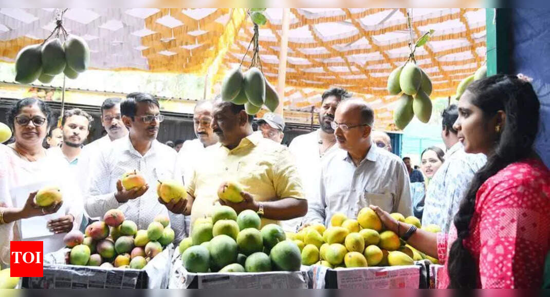 Mysuru's Mango Mela Begins: Farmers and Consumers Unite