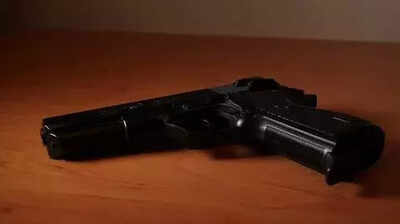 DGP orders review of gun licences across state