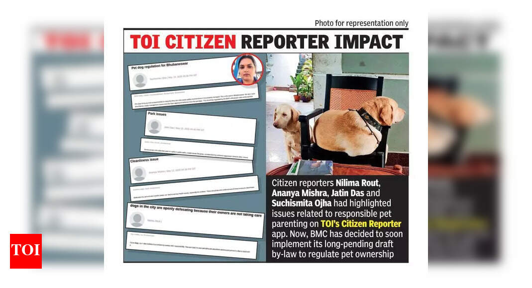 BMC to Enforce Pet Ownership Rules After Citizen Complaints