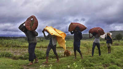 Monsoon arrives early: Kerala receives first showers 8 days ahead of schedule
