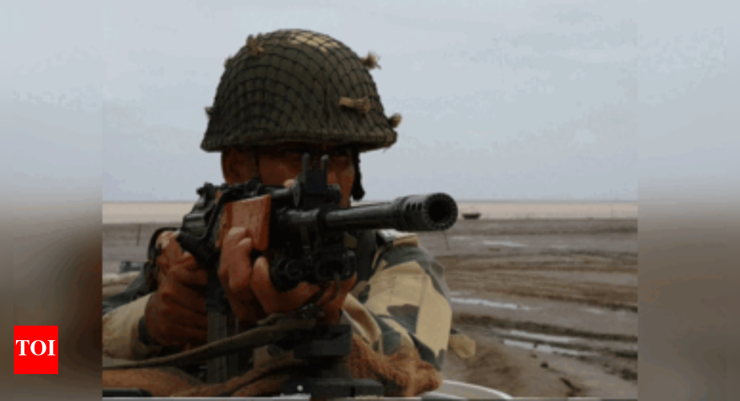 BSF eliminates Pakistani intruder at international border in Gujarat's Banaskantha