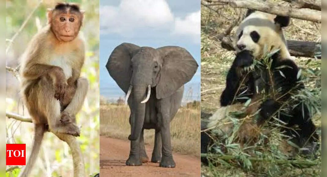 Fascinating Facts: Unveiling Amazing Truths About Animals