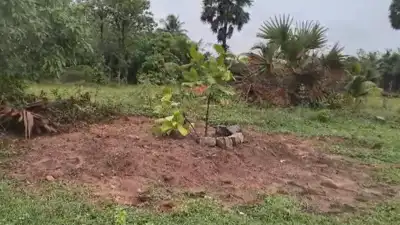 Police to exhume body of youth 'beaten' to death at rehabilitation home in Tamil Nadu