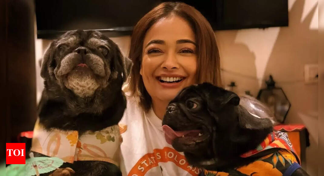 Actress Kiran Rathod Addresses Deepfake Scandal, Urges Caution