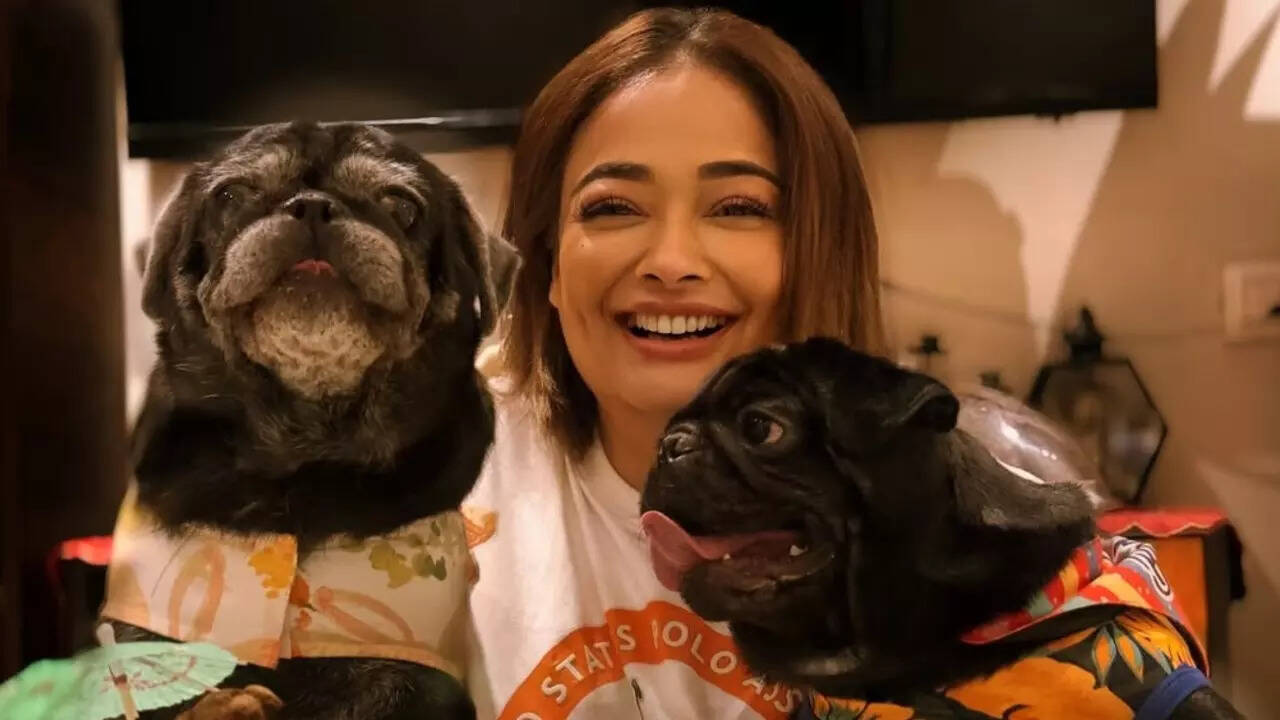 Kiran Rathod standing strong against adversityKiran Rathod with a determined expression