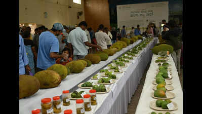 Bengaluru’s organic fruit fest draws crowds
