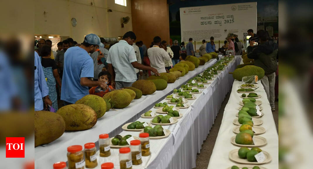 Bengaluru's Mango and Jackfruit Festival Attracts Crowds