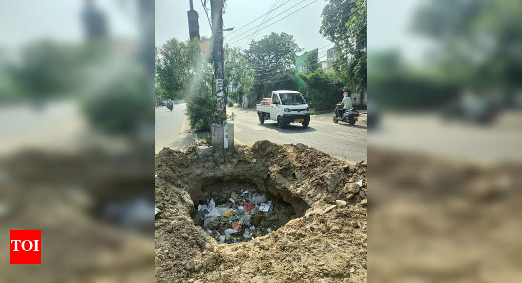 Ludhiana Residents Raise Alarm Over Open Road Pit
