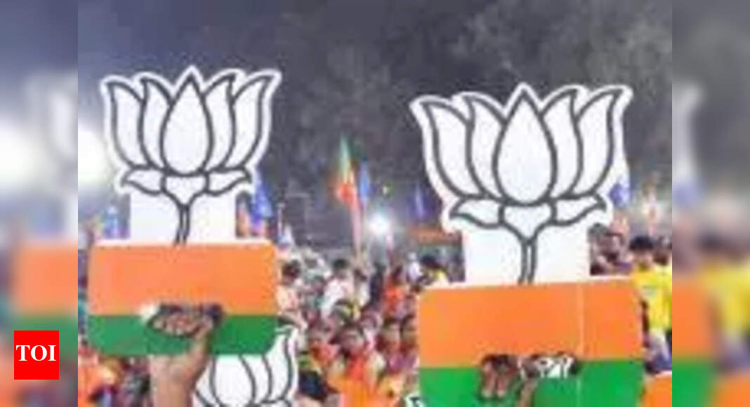 Delhi's Jansunwai Camps Address Public Grievances in May