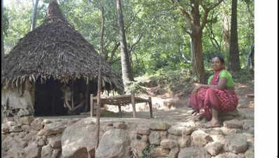Hope on the horizon: Konda Reddis may soon get homes