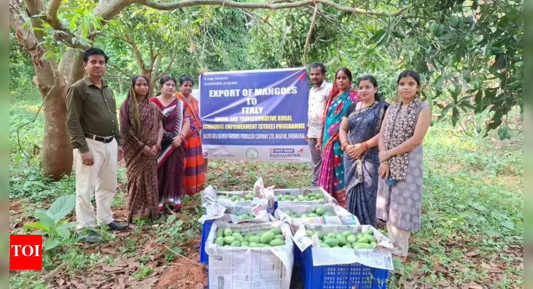 Dhenkanal Mangoes Exported to Europe Boosts Farmers' Income