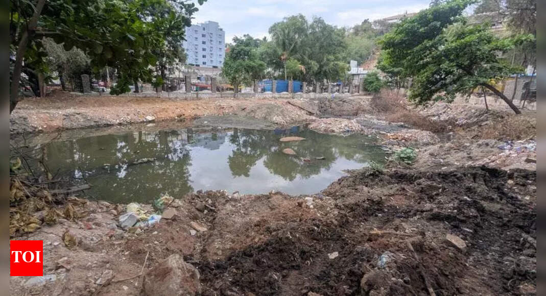 Ernavoor Pond Pollution Persists Despite Restoration Efforts