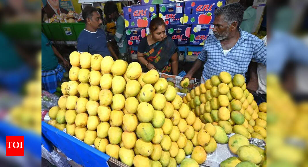 Imam Pasand Mangoes Command Premium Prices as Season Peaks in Chennai